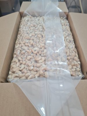 High-quality Vietnam W320 cashew nuts moving along a clean, modern conveyor belt during the strict optical sorting and grading process at Neuexport's facility.