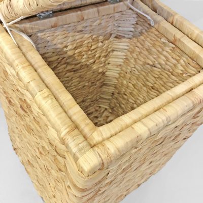 Water Hyacinth Manufacturer