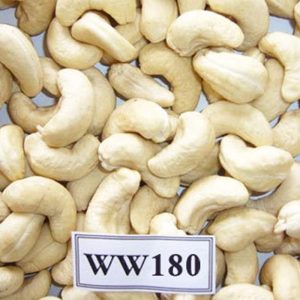 Great Wholesale W180 Cashew Kernels | Premium Vietnam Exporter