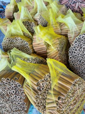 Wholesale Premium Tube Cassia Vietnam securely packed in yellow mesh bags, ready to be loaded into export cartons for Middle Eastern and Indian buyers.