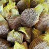 High-quality Premium Tube Cassia Vietnam featuring a bright golden-brown color, neatly packed in yellow export mesh bags.