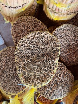 A cross-sectional view of bundled Cigarette Cassia, highlighting the perfectly hollow, thin-walled tubes and the incredible uniformity achieved by Neuexport.