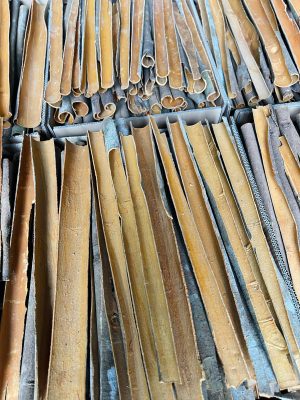 A close-up view of Premium Split Cassia Vietnam showcasing its golden-brown color, perfectly peeled outer bark, and neat arrangement in export cartons.