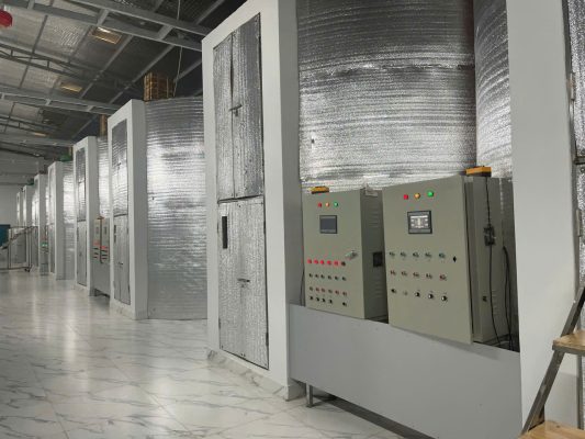 dvanced automated drying chambers with smart control panels, ensuring consistent quality for every batch of dried bananas.