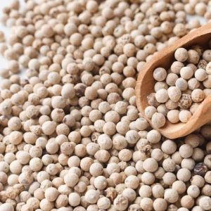 A macro shot of premium white peppercorns scattered around a wooden scoop.